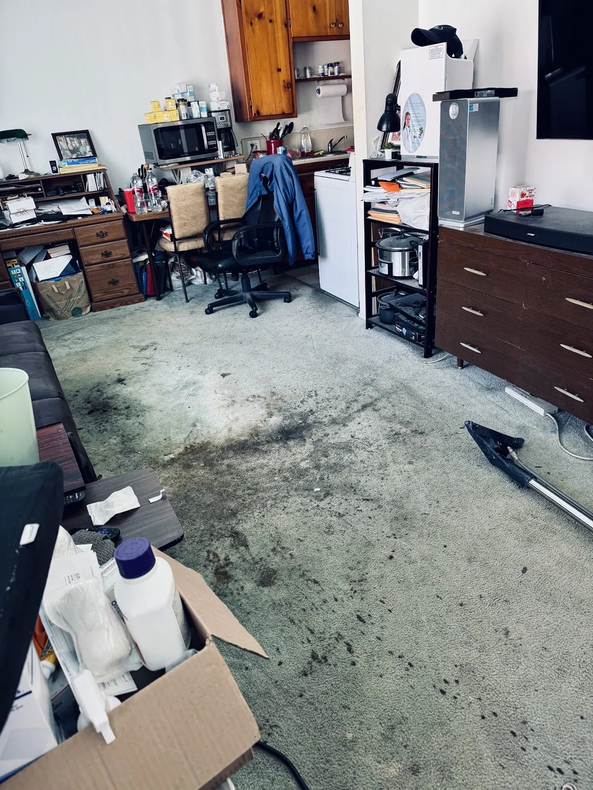 Commercial office carpet before cleaning