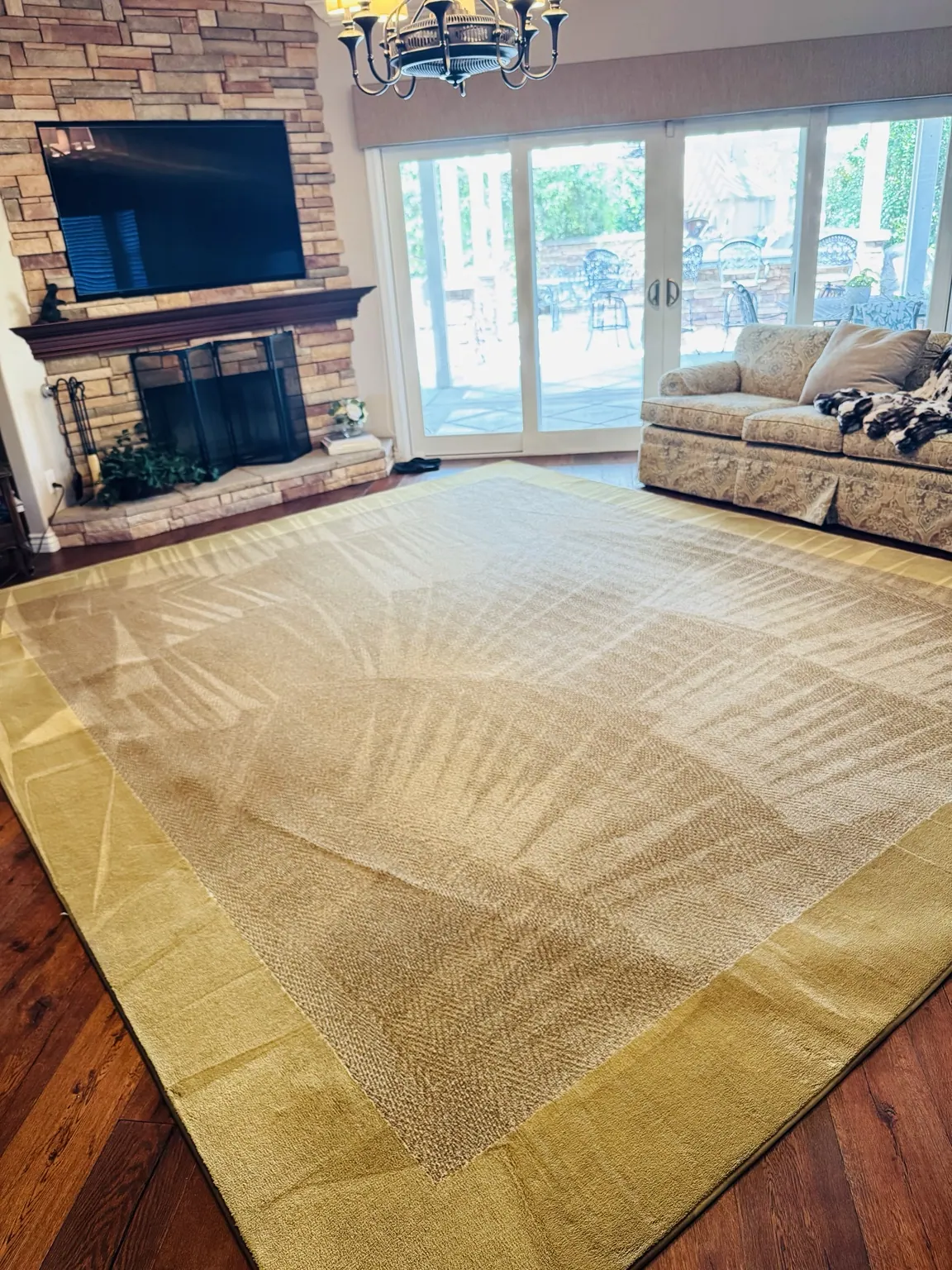 Large gold-bordered area rug cleaned in a living room