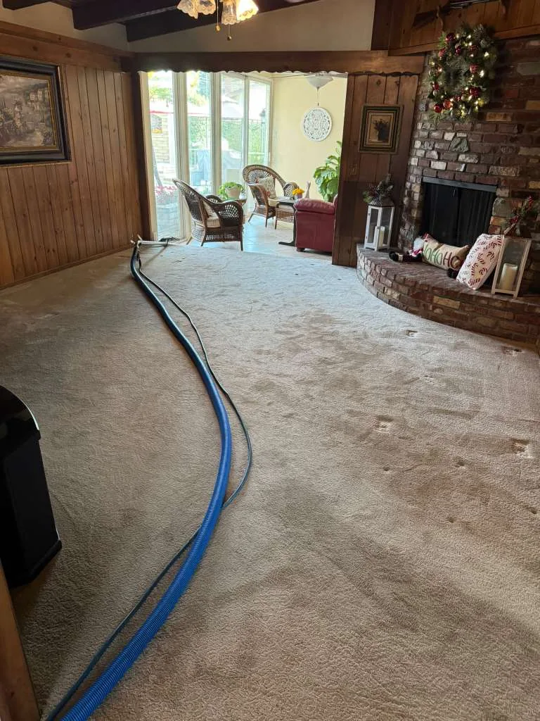Wood-paneled den carpet with the extraction hose run in, before cleaning