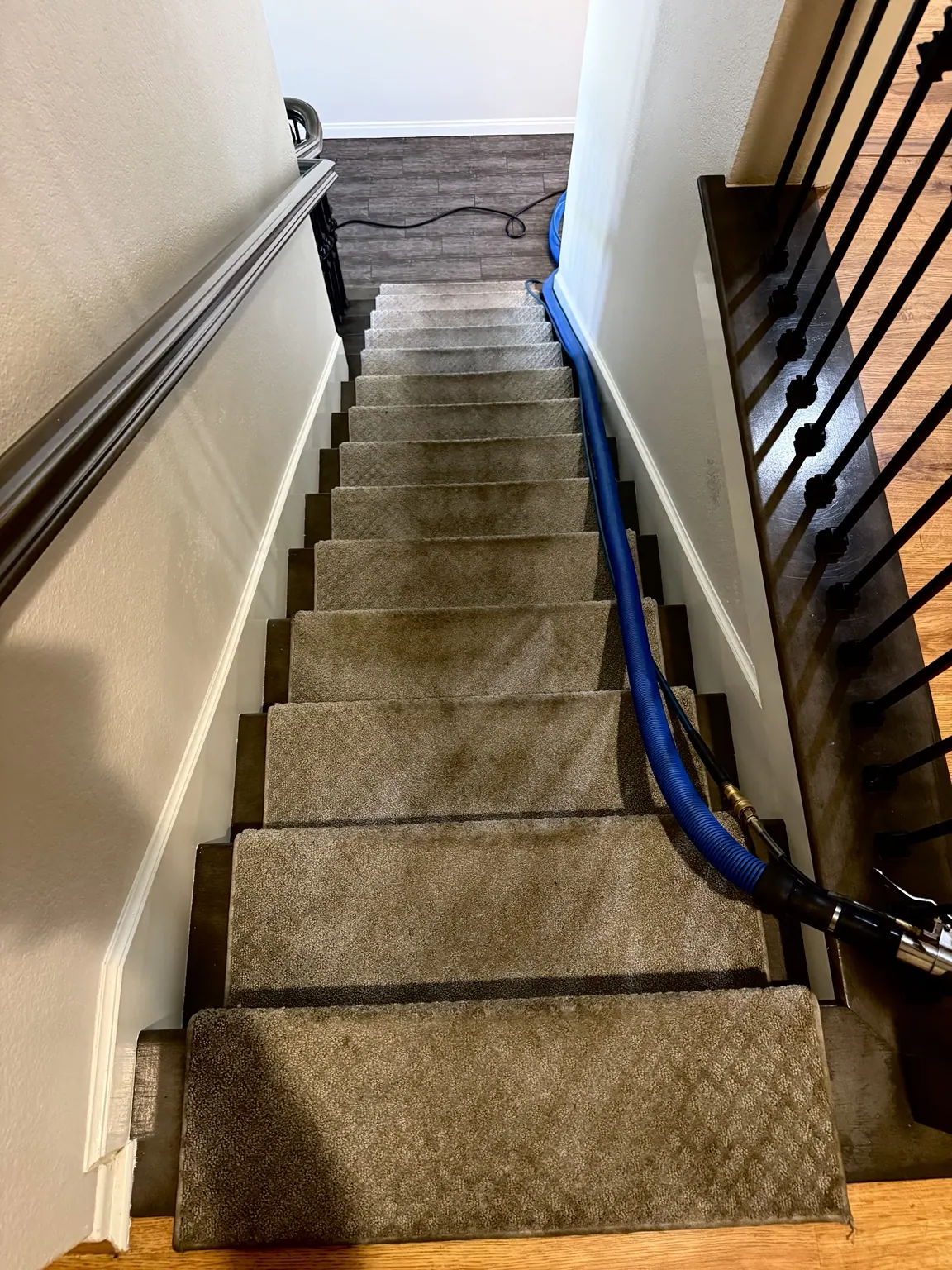 Carpeted staircase during cleaning