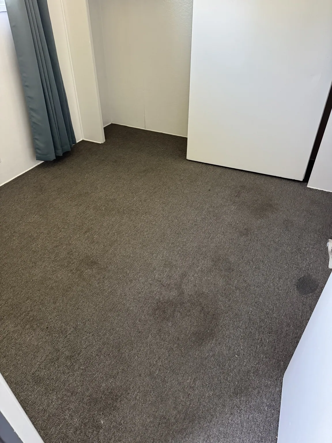 Dark gray carpet in an empty room after cleaning