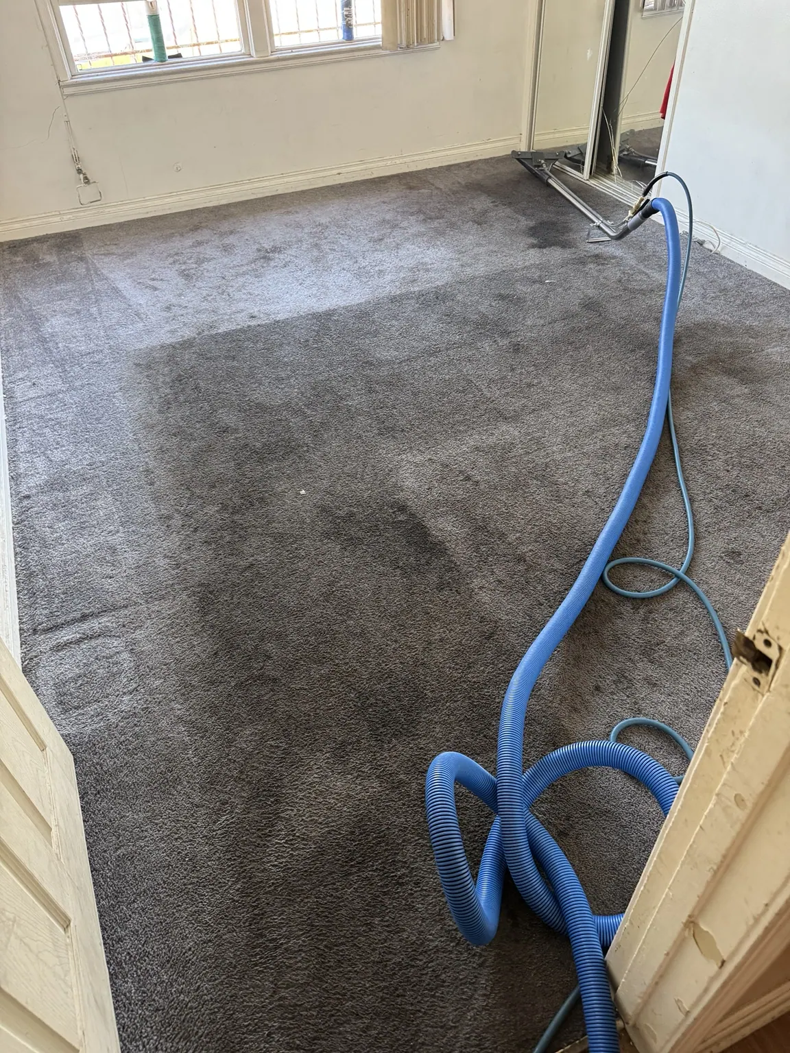 Extraction hose laid out for a carpet cleaning job