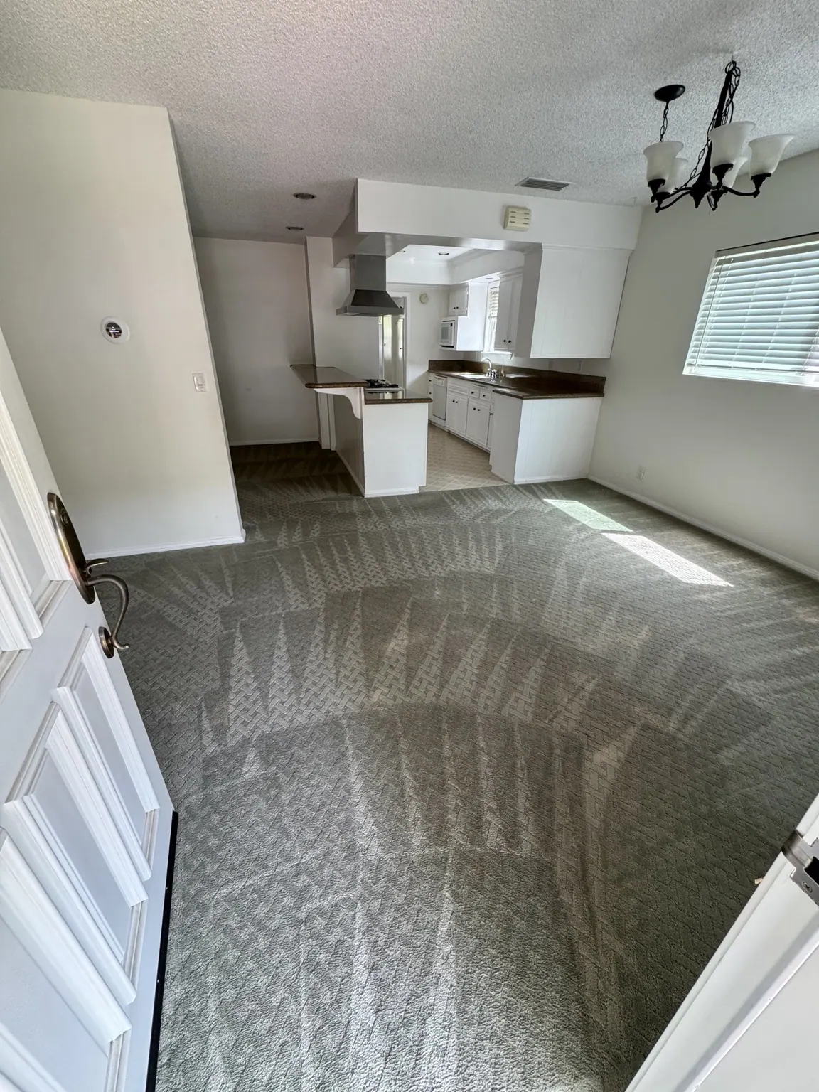 Groomed carpet in a hallway and living area after cleaning