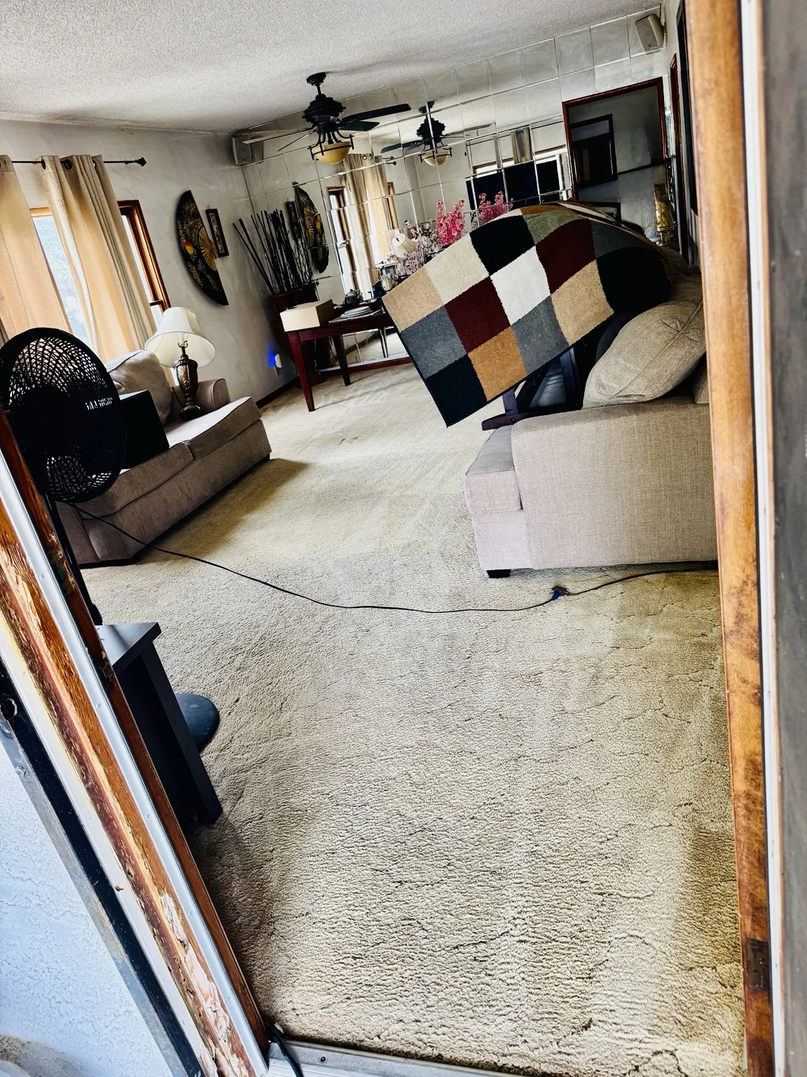 Living area carpet cleaned by Go4Cleaning