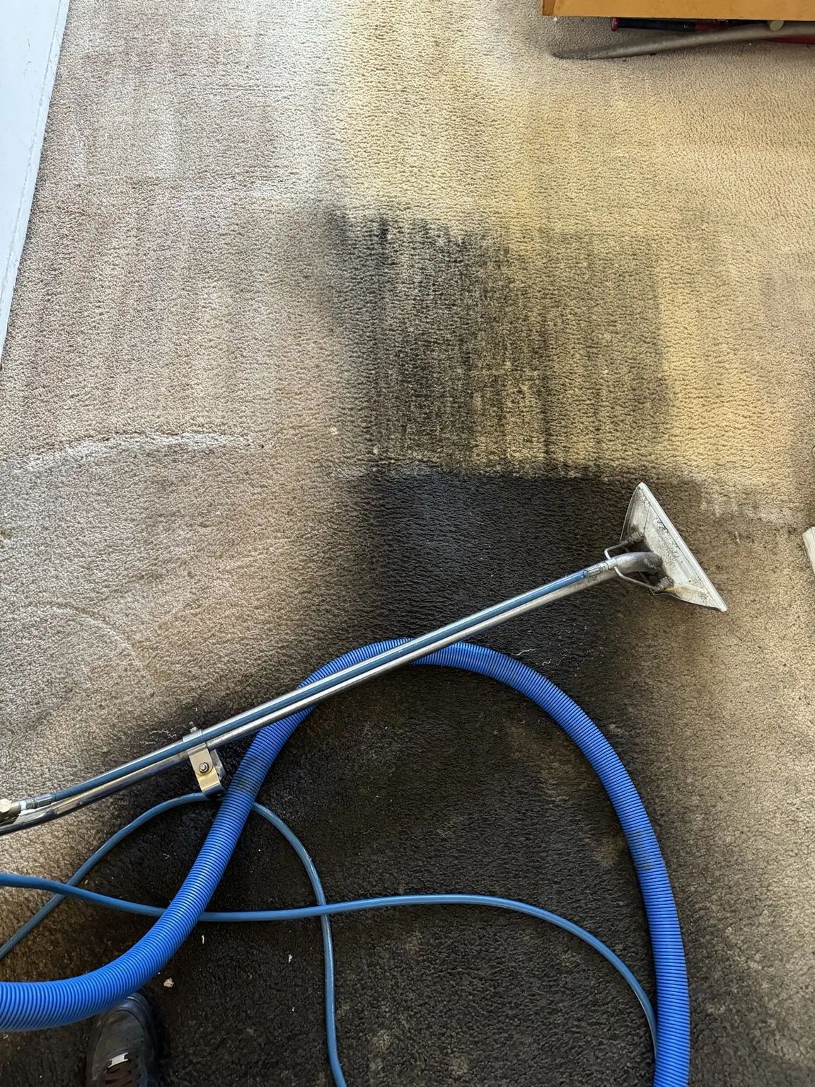 Extraction wand revealing a clean stripe across soiled carpet