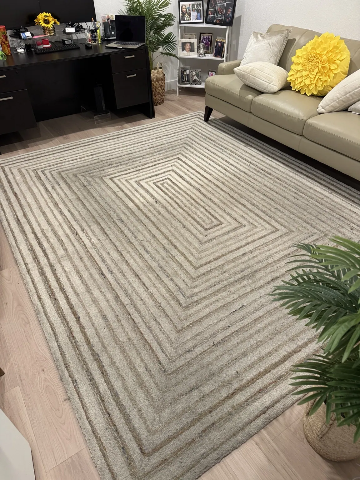 Textured area rug cleaned in a home office