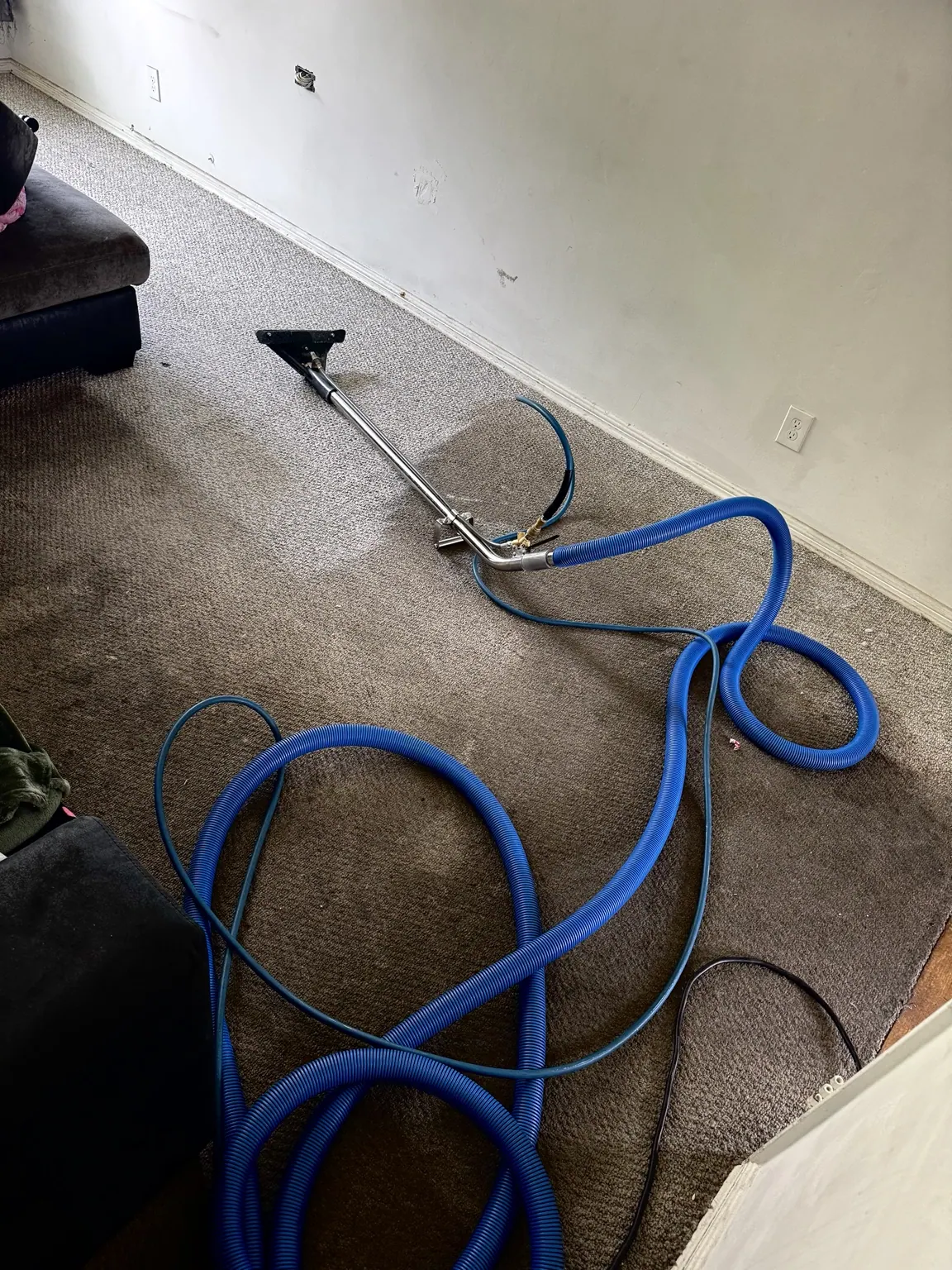Carpet extraction underway in an empty room