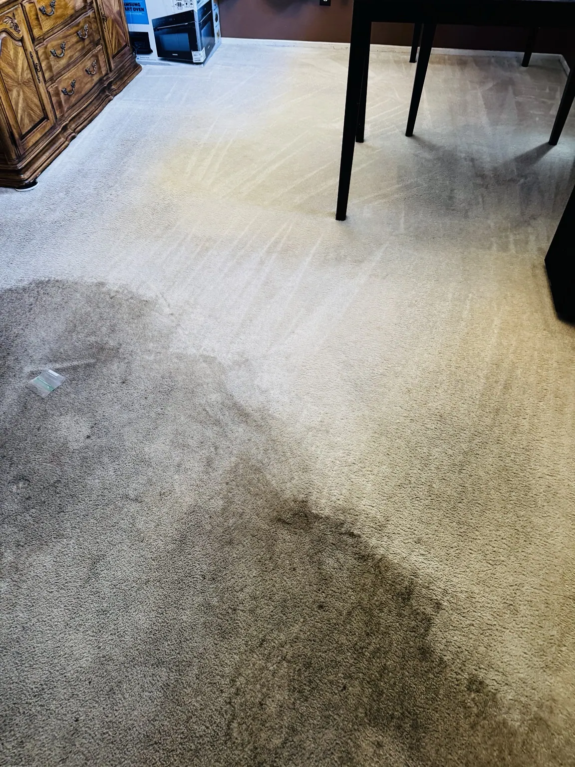 Heavily soiled carpet area before cleaning