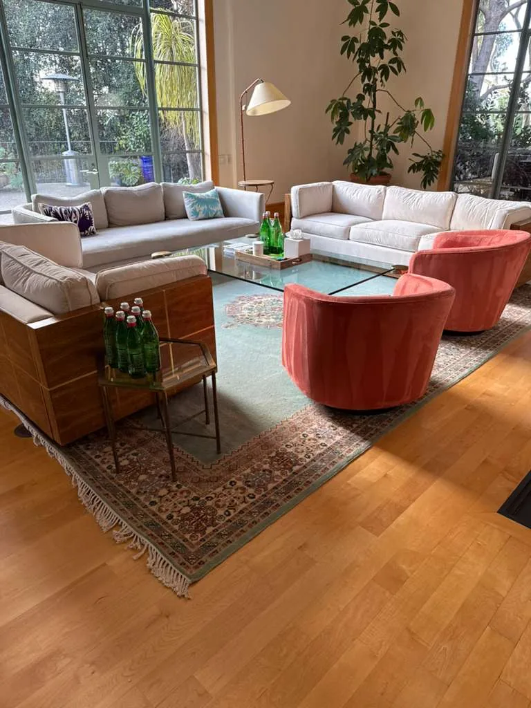Antique Persian-style rug with fringe cleaned in a bright living room