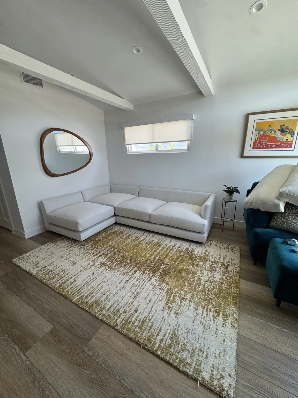 Area rug and white sofa cleaned in a living room