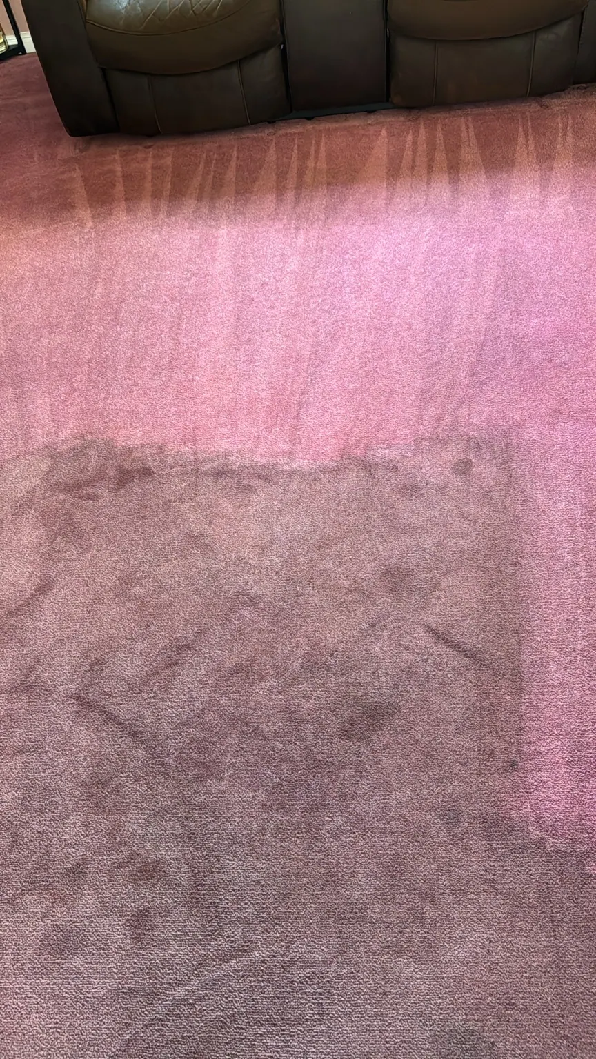 Close-up of pink carpet fibers during cleaning