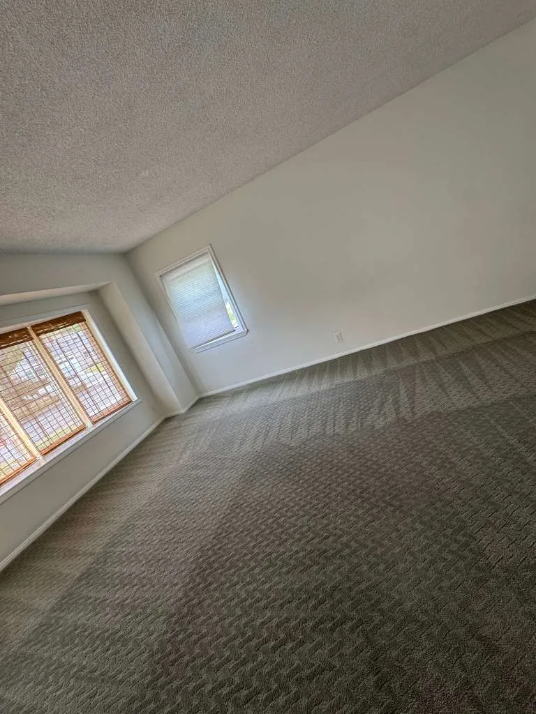 Cleaned carpet with grooming lines in an empty room with corner windows