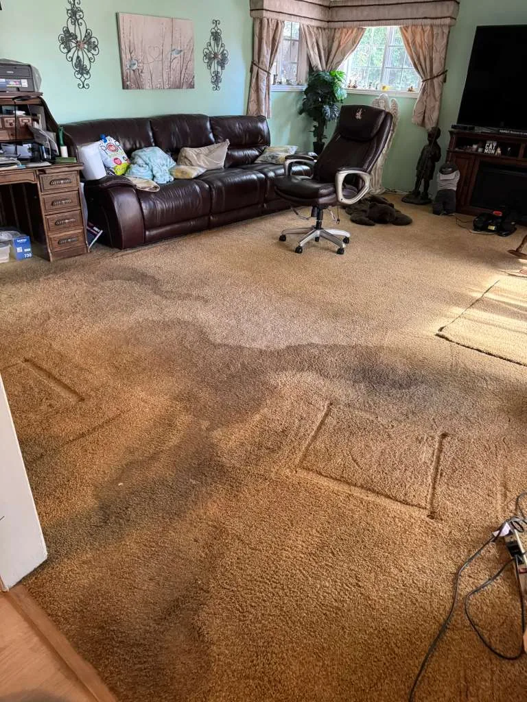 Family room carpet showing heavy traffic soiling before cleaning