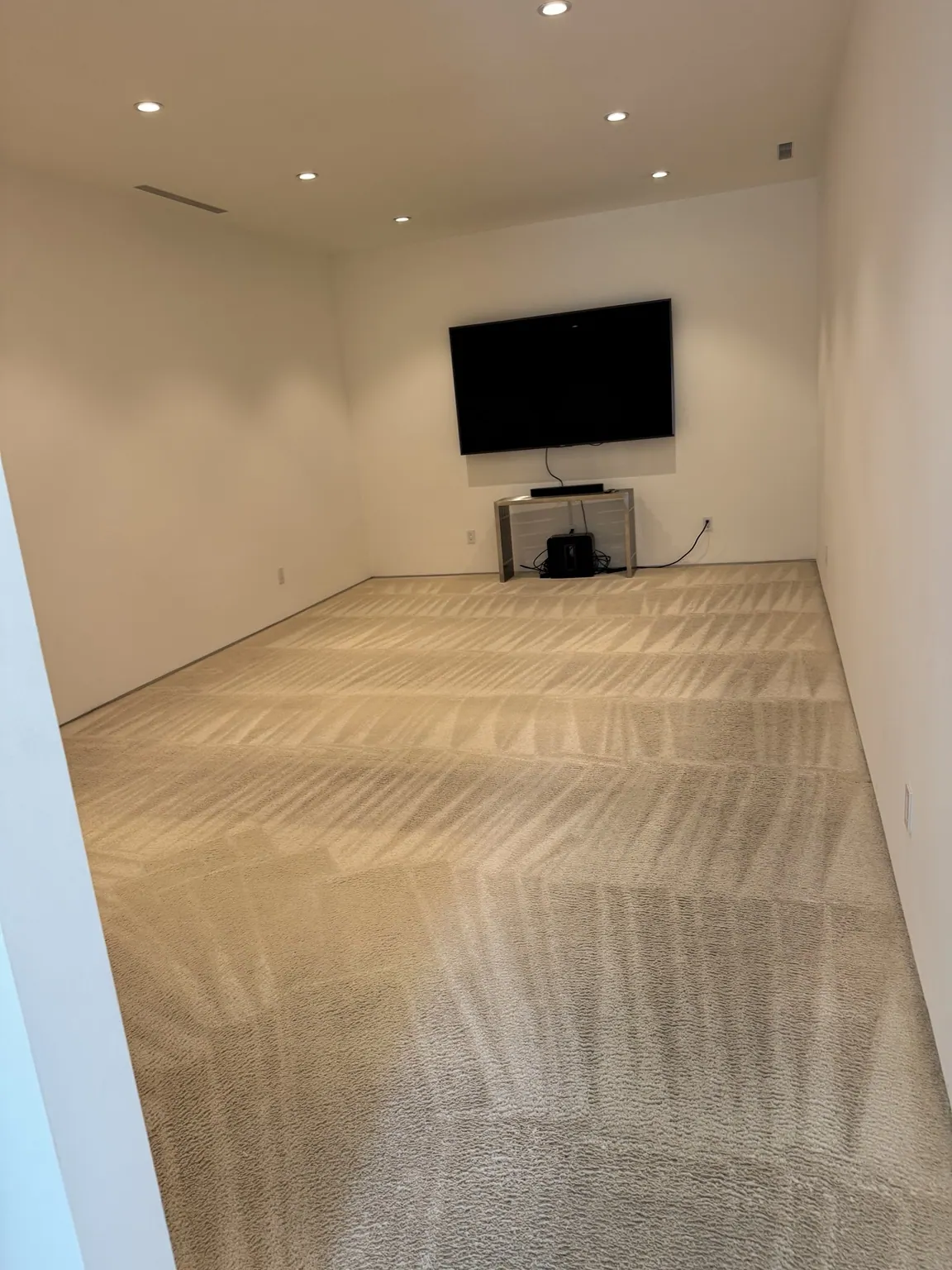 Living room carpet with fresh grooming lines after cleaning