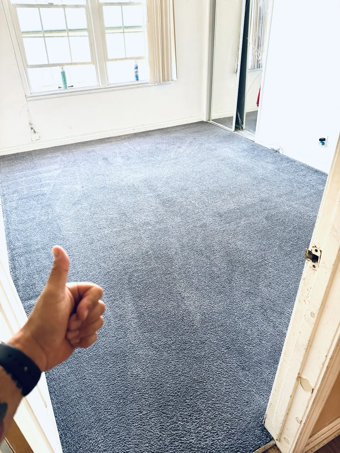 Cleaned gray carpet in a bright living room