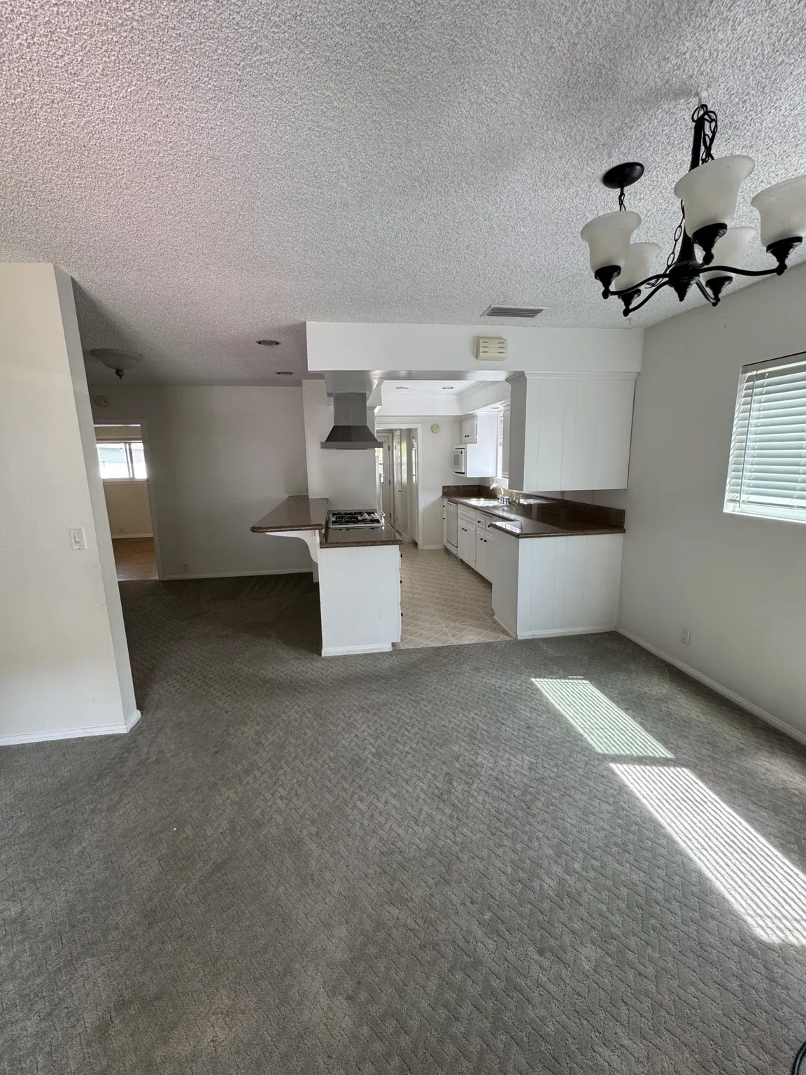 Gray carpet in an open-plan living and kitchen area after cleaning