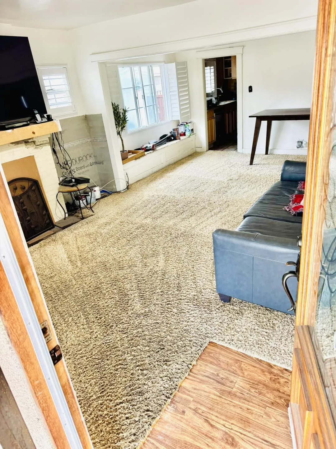 Living room carpet cleaned up to the hardwood transition at the doorway