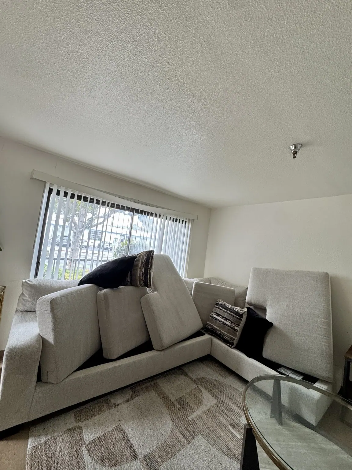 Fabric sectional cleaned in a living room