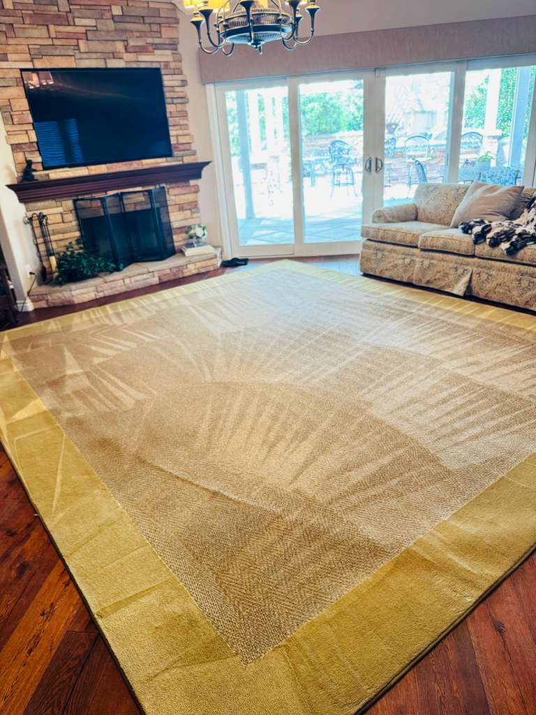 whatsapp image 2026 04 11 at 5.42.34 am